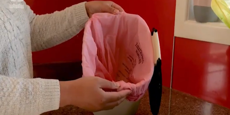 How To Use The Food Scraps Bin And Caddy NZSL Video Thumbnail